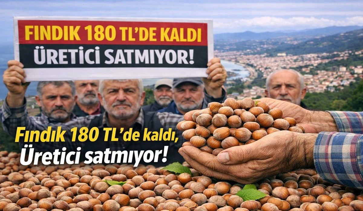 İşte Ordu'da 29 Nisan &Ccedil;arşamba Fındık Fiyatı!