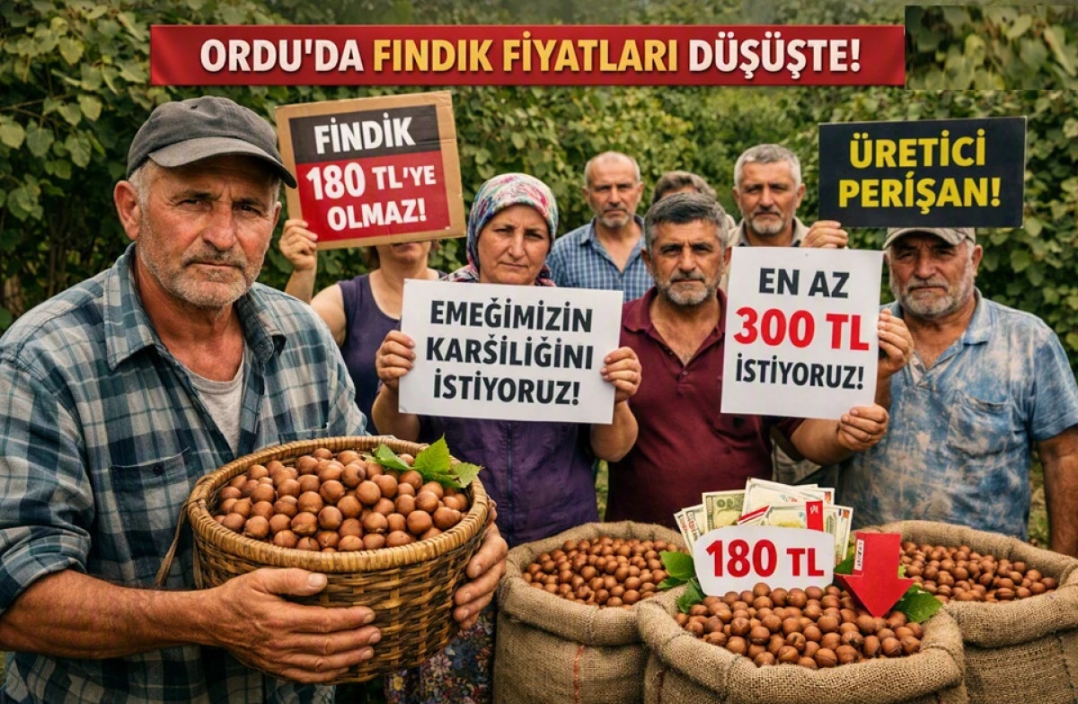 İşte Ordu'da 3 Ağustos Pazartesi G&uuml;n&uuml; Fındık Fiyatı!