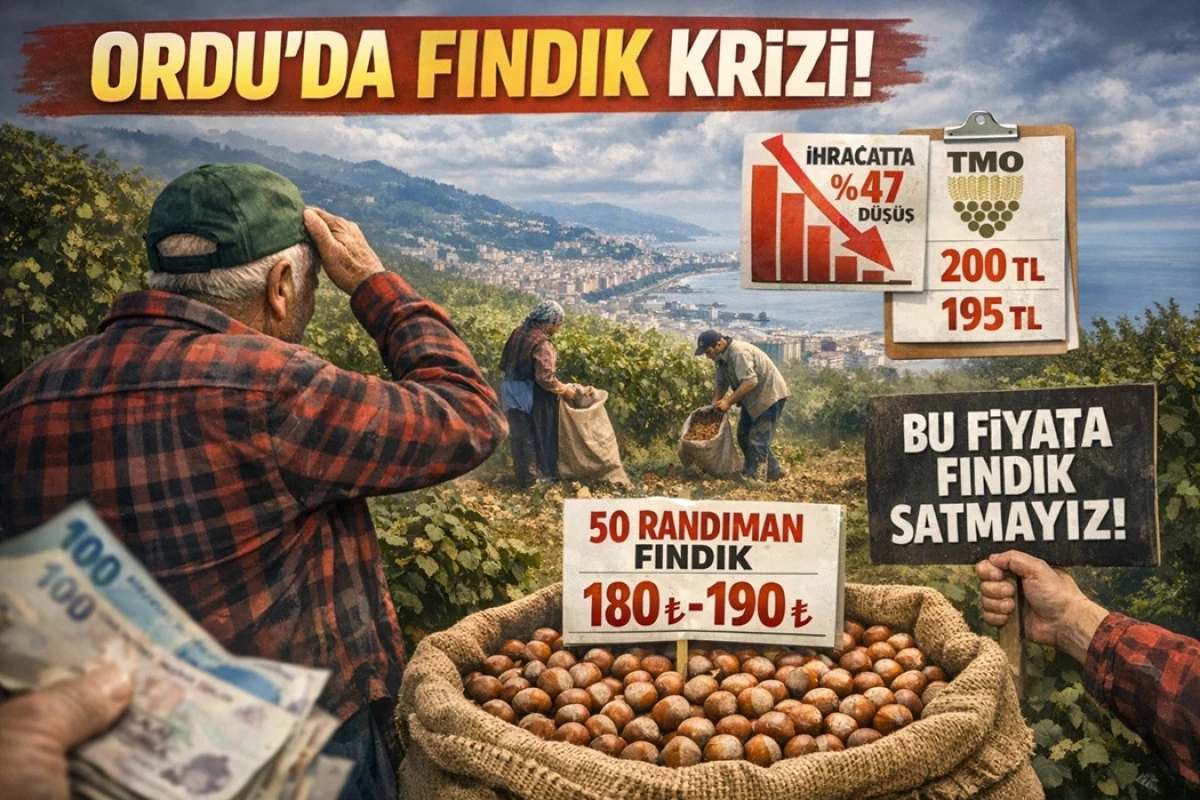 İşte Ordu'da 3 Nisan Cuma G&uuml;n&uuml; Fındık Fiyatı!