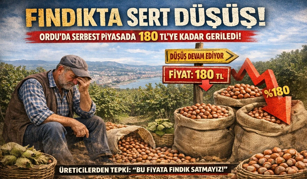 İşte Ordu'da 30 Mart Pazartesi Fındık Fiyatı!