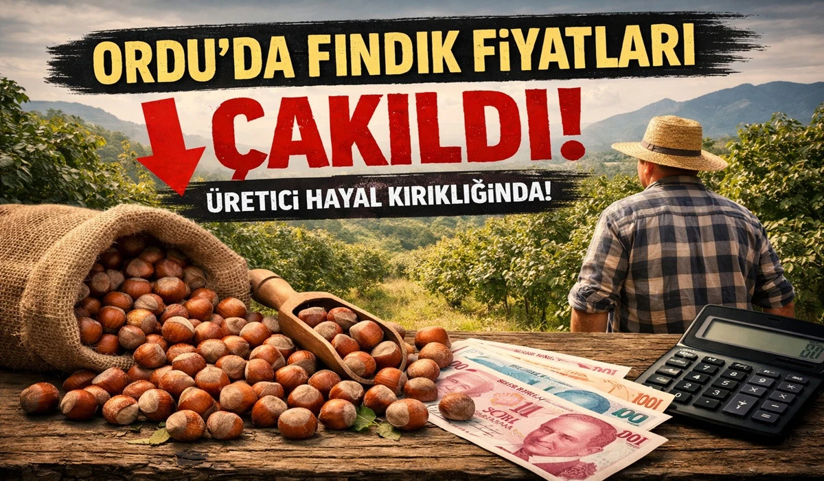 İşte Ordu'da 30 Mayıs Cumartesi Fındık Fiyatı!