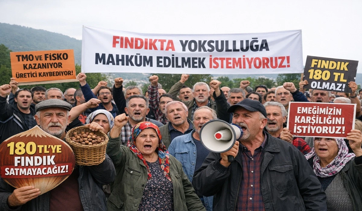 İşte Ordu'da 30 Nisan Perşembe Fındık Fiyatı!