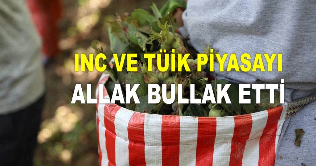 İŞTE ORDU'DA 31 MAYIS CUMARTESİ FINDIK FİYATI!