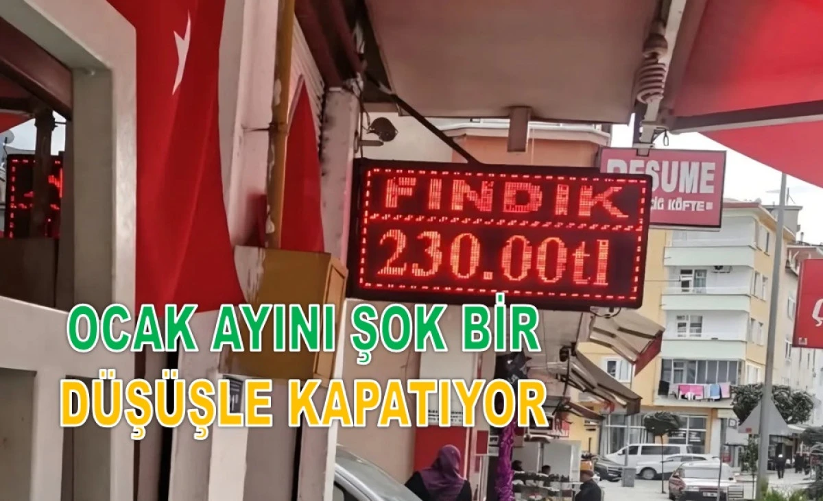 İşte Ordu'da 31 Ocak Cumartesi G&uuml;n&uuml; Fındık Fiyatı!