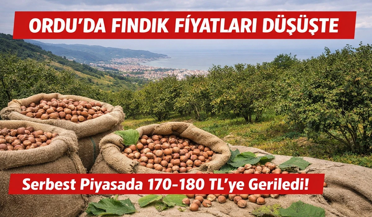 İşte Ordu'da !4 Haziran Pazar Fındık Fiyatı!