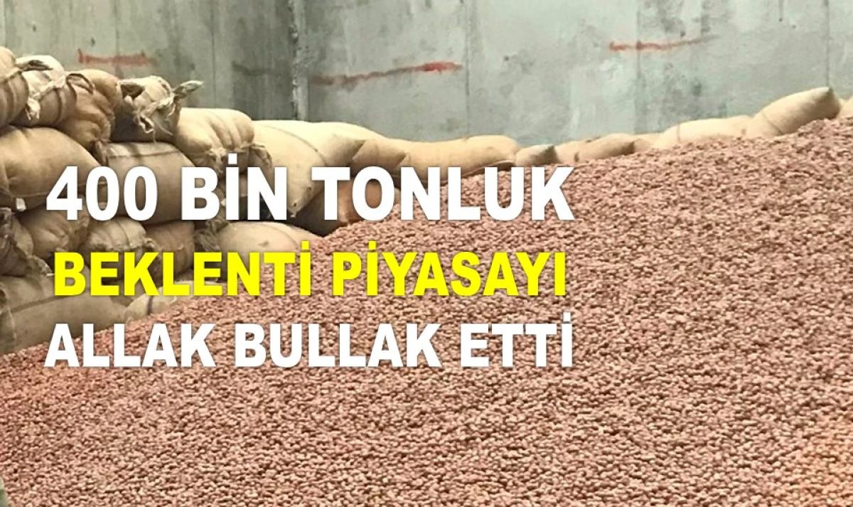 İŞTE ORDU'DA 5 MAYIS PAZARTESİ FINDIK FİYATI
