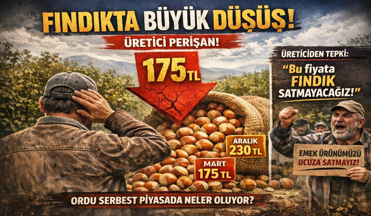 İşte Ordu'da 5 Nisan Pazar Fındık Fiyatı!