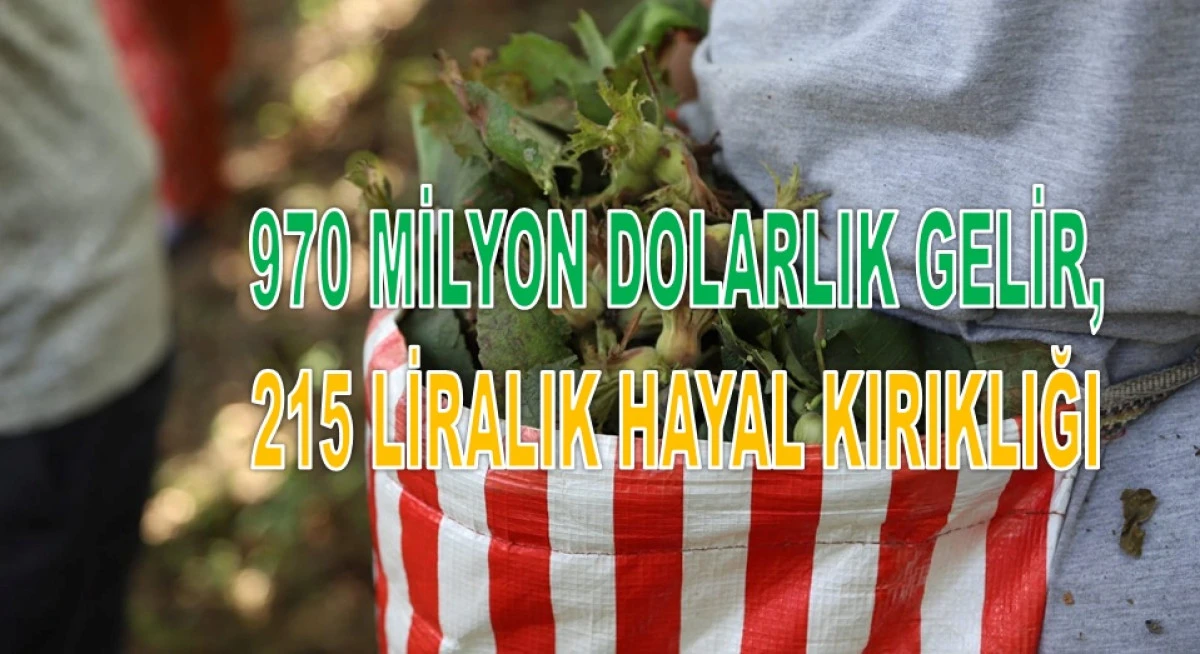 İşte Ordu'da 5 Şubat Perşembe Fındık Fiyatı