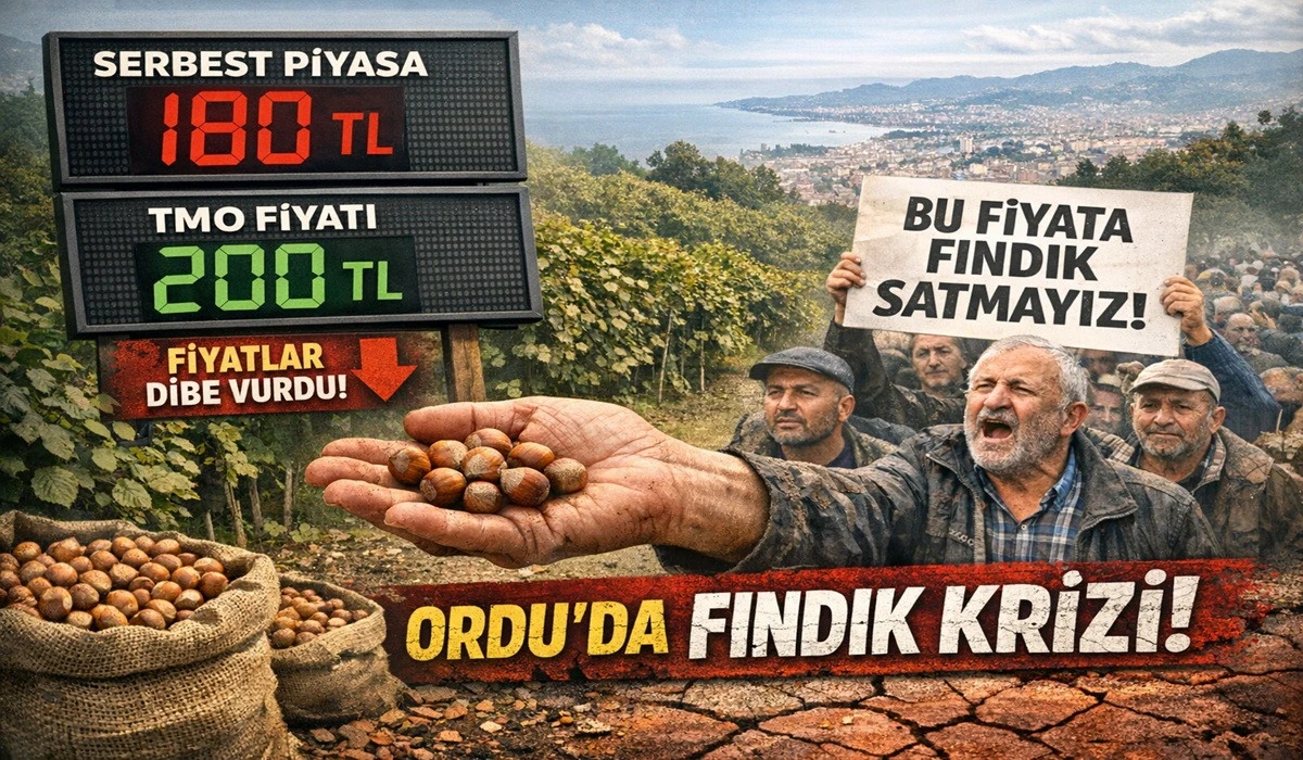 İşte Ordu'da 6 Nisan Pazartesi Fındık Fiyatı!