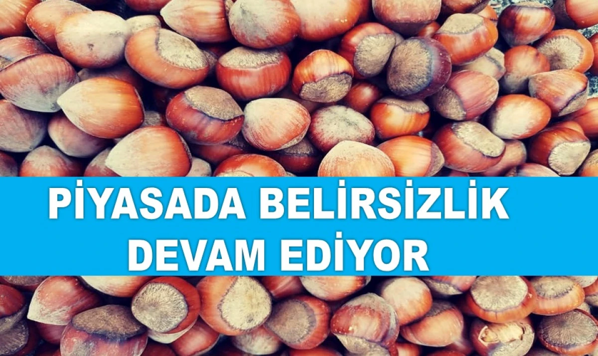İŞTE ORDU'DA 7 HAZİRAN CUMARTESİ FINDIK FİYATI