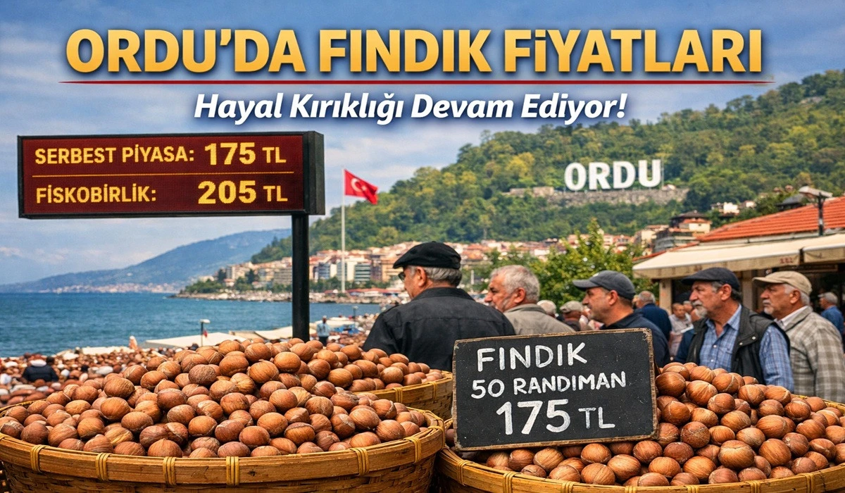 İşte Ordu'da 7 Haziran Pazar Fındık Fiyatı!