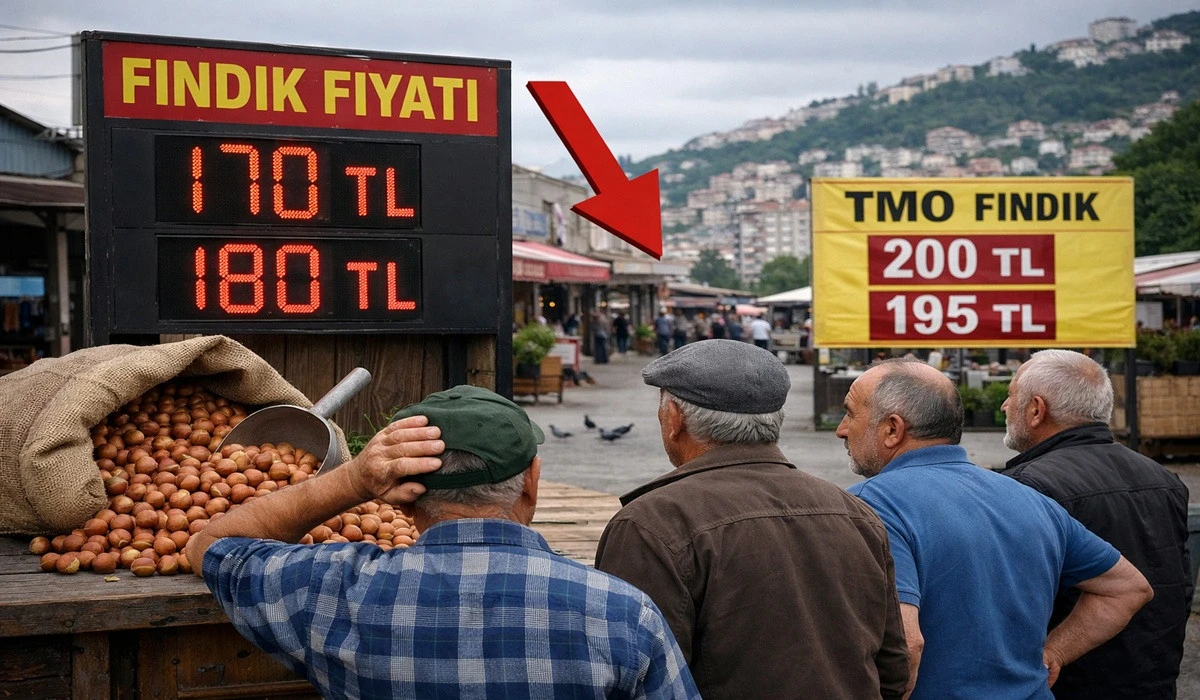 İşte Ordu'da 8 Haziran Pazartesi Fındık Fiyatı!