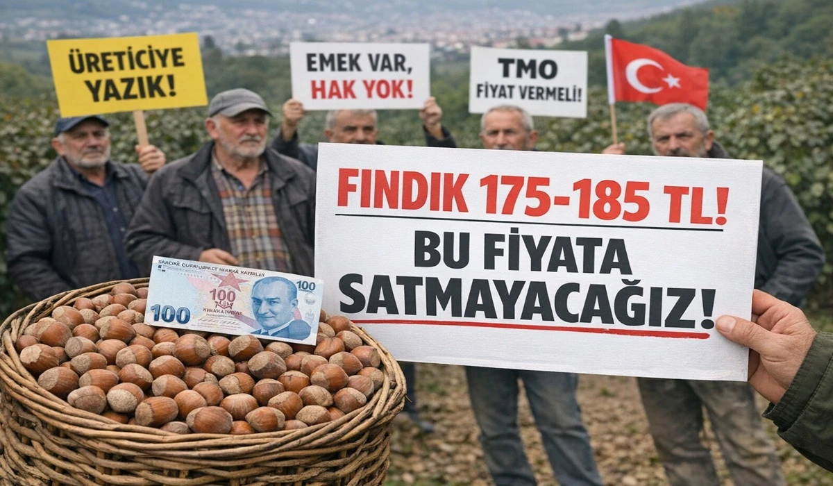 İşte Ordu'da 8 Nisan &Ccedil;arşamba Fındık Fiyatı!