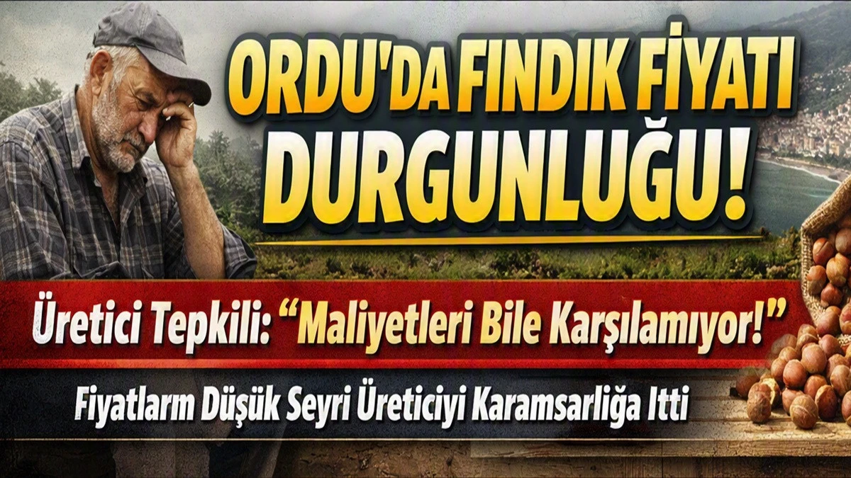 İşte Ordu'da 9 Eyl&uuml;l &Ccedil;arşamba Fındık Fiyatı!