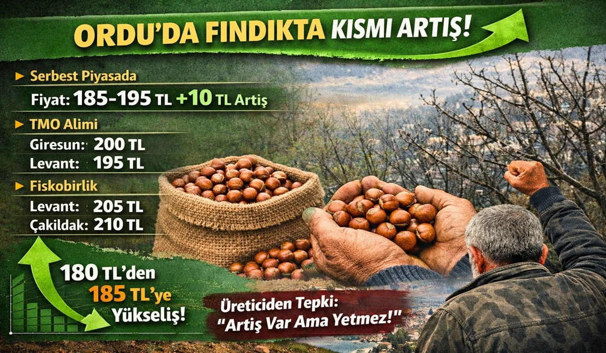 İşte Ordu'da 9 Nisan Perşembe Fındık Fiyatı!