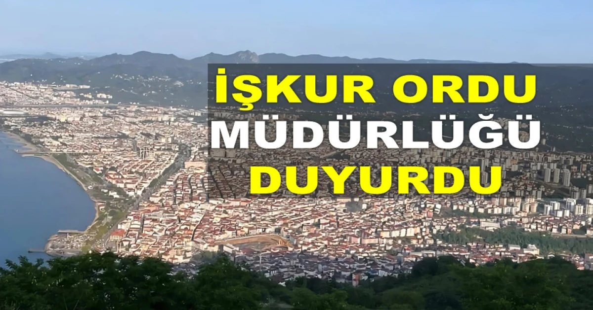 İŞTE ORDU'DA EN ÇOK ARANAN MESLEK GRUPLARI