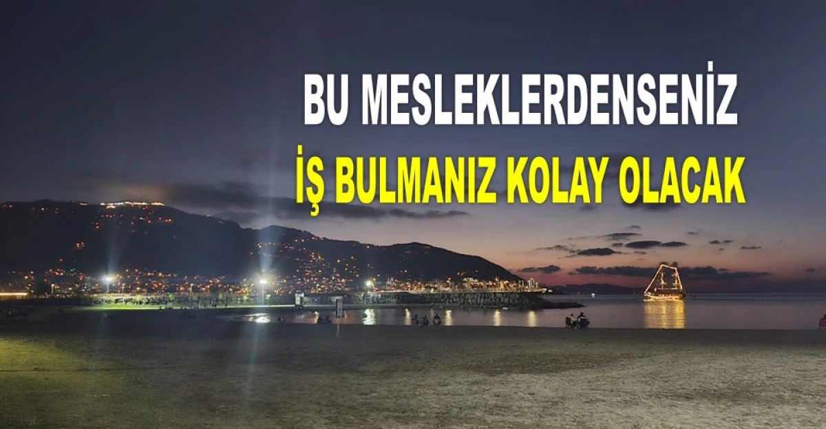 İŞTE ORDU'DA EN ÇOK ARANAN MESLEKLER BUNLAR