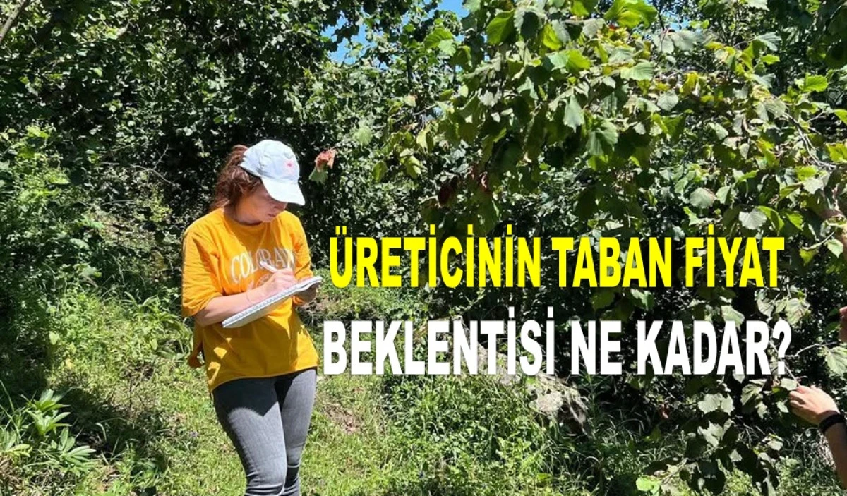 İŞTE ORDU'DA TEMMUZ PAZARTESİ FINDIK FİYATI! 
