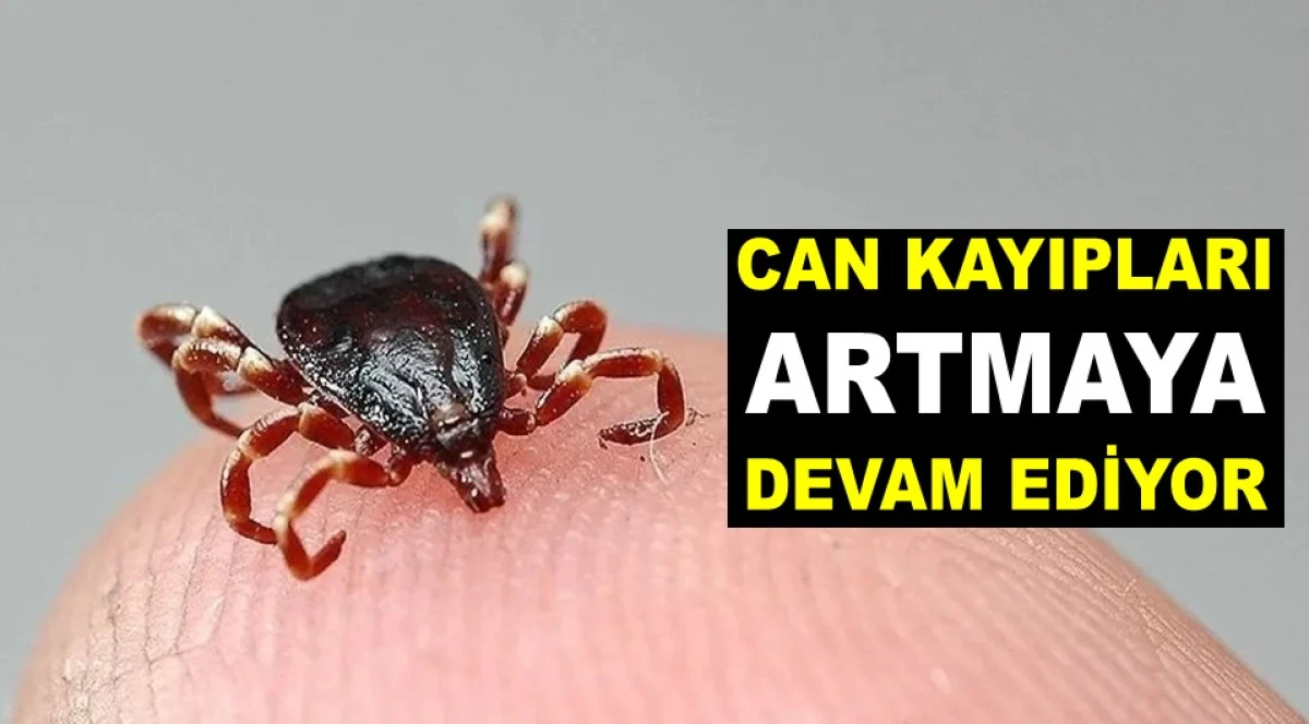KABUS DEVAM EDİYOR