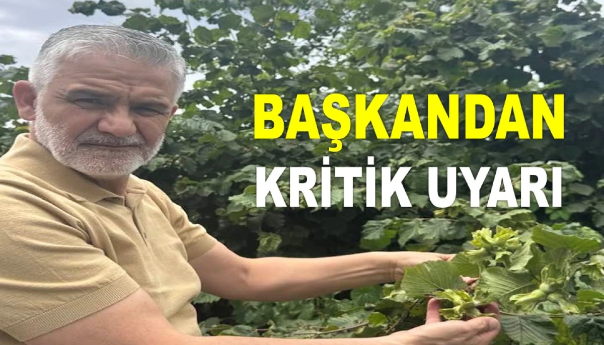 KAHVERENGİ KOKARCA İLE MÜCADELEDE SON VİRAJ