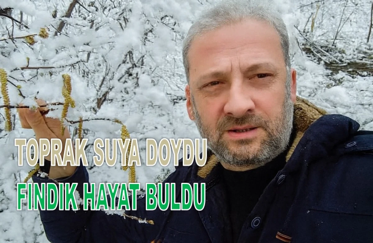 Kar, Fındığın İlacıdır: Bereket Yağdı!