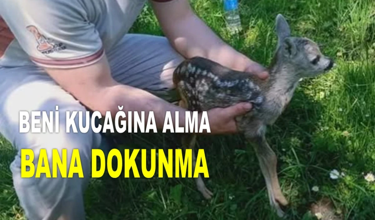 'KARACALARA İYİLİK DEĞİL ZARAR VERİYORSUNUZ'