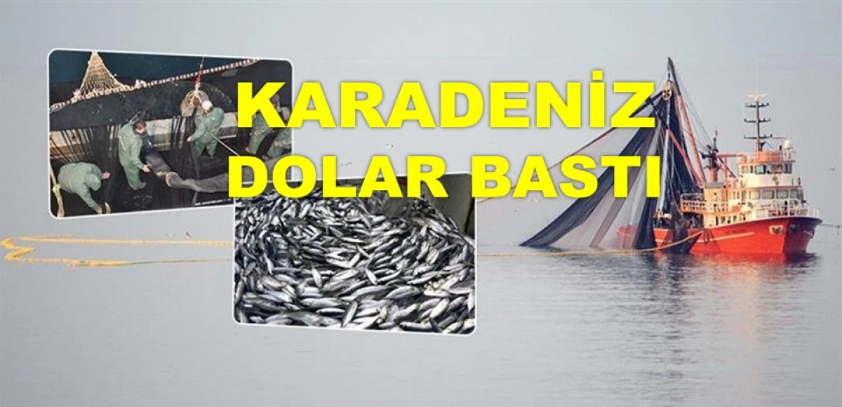 KARADENİZ DENİZDEN 62 MİLYON DOLAR KAZANDI