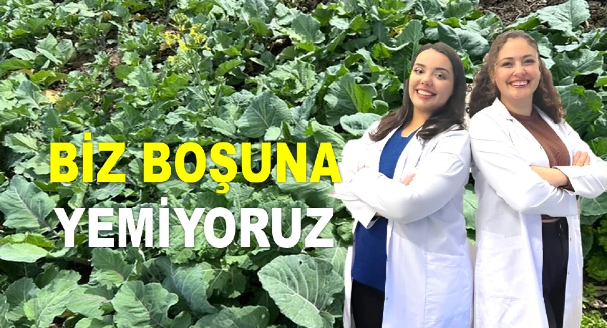 KARADENİZ KIZLARI KANSERE ÇAREYİ KARALAHANADA BULDU