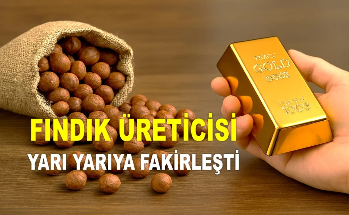 Karadeniz'in Yeşil Altını Fındık Altına Yenildi!