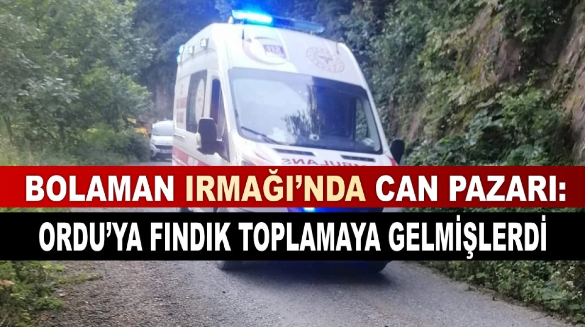 Kardeşlerden Biri Hayatını Kaybetti, Biri Yoğun Bakımda