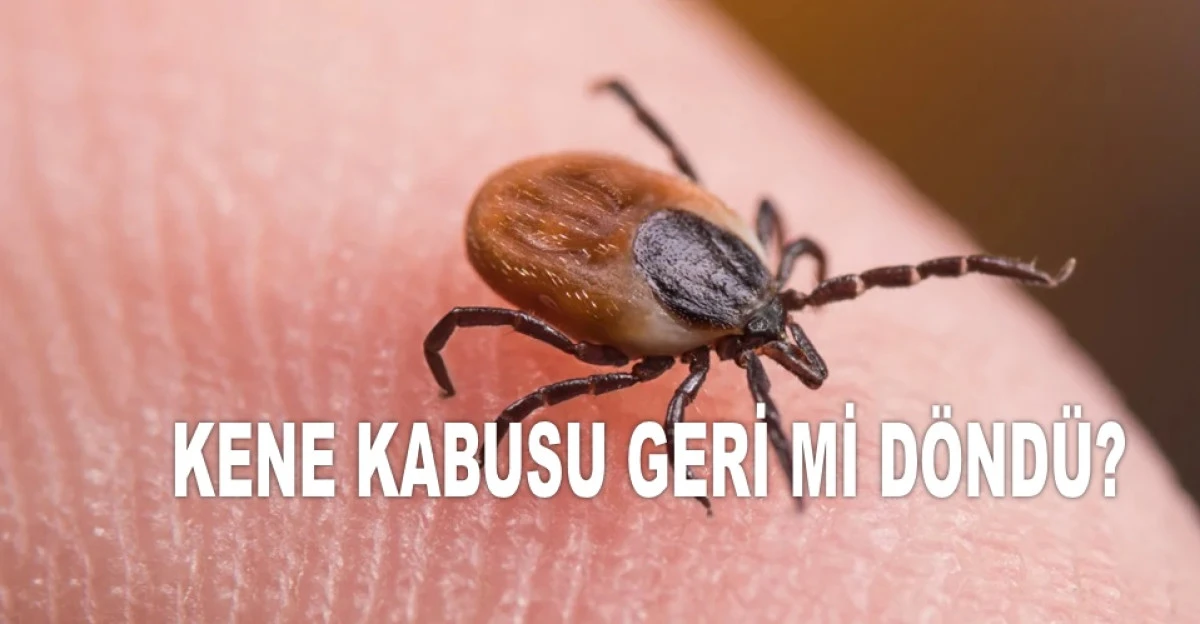 Kene Isıran 21 Yaşındaki Gen&ccedil; Hayatını Kaybetti