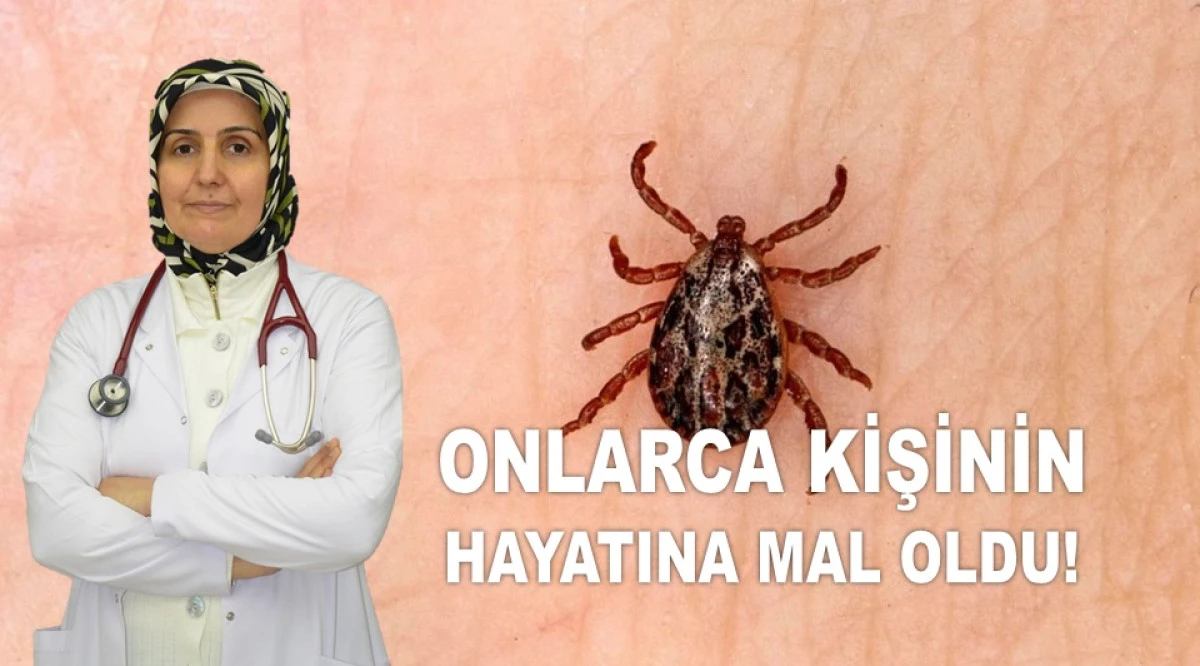 KENE ISIRDIĞINDA DOĞRU MÜDAHALE NASIL OLMALI?