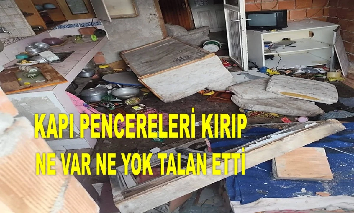 KIŞ UYKUSUNA YATMAYAN AYI YAYLADA EVE GİRDİ