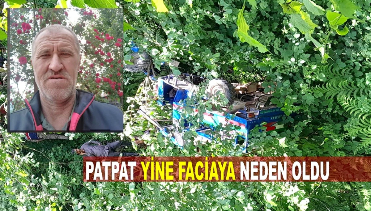 Kumru'da Bah&ccedil;eye U&ccedil;an Patpatta Can Verdi