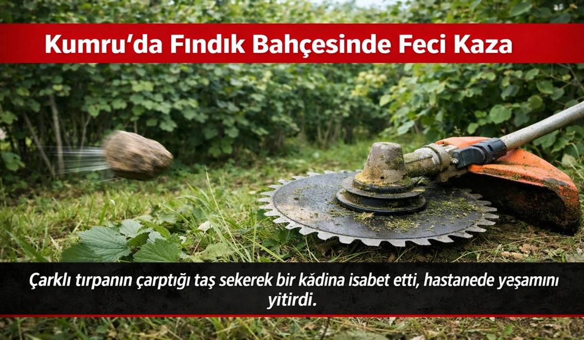 Kumru&rsquo;da Tırpan Faciası: Annesi Hayatını Kaybetti