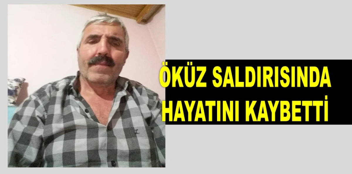 KUMRU'DA YAŞANAN ŞOK OLAYDA HAYATINI KAYBETTİ
