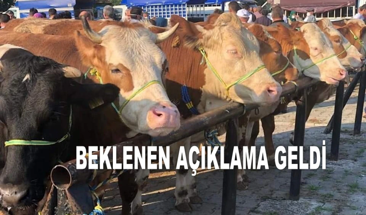 KURBAN BAYRAMI TATİLİ 9 GÜN OLACAK MI?