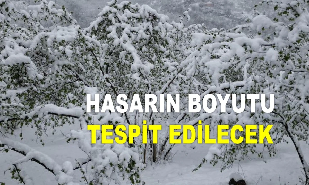 MECLİS'TE ZİRAİ DON KOMİSYONU TOPLANIYOR!