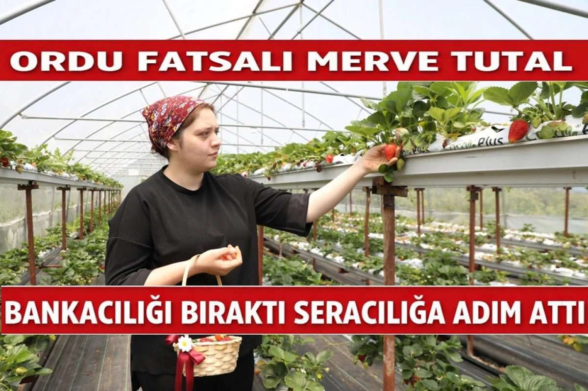 Merve Tutal&rsquo;ın Başarı &Ouml;yk&uuml;s&uuml;: Seracılığa Adım Attı