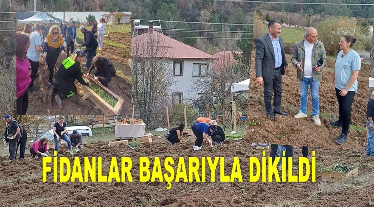 MESUDİYELİ TUĞÇE AYTÖRE'DEN BİR BAŞARI HİKAYESİ