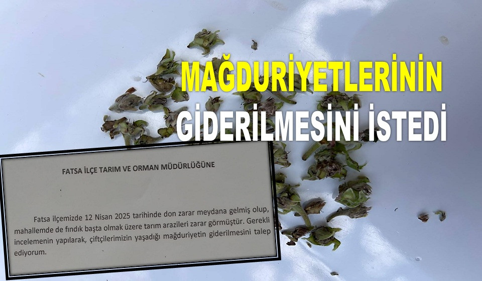 MUHTARDAN TARIM MÜDÜRLÜĞÜ'NE DON DİLEKÇESİ