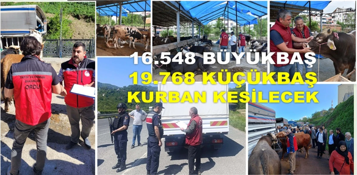 KURBAN PAZAR YERLERİ VE YOL KONTROLLERİ DEVAM EDİYOR