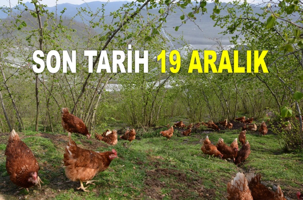 ORDU'DA 12 KİŞİ HİBE DESTEĞİ ALMAYA HAK KAZANDI