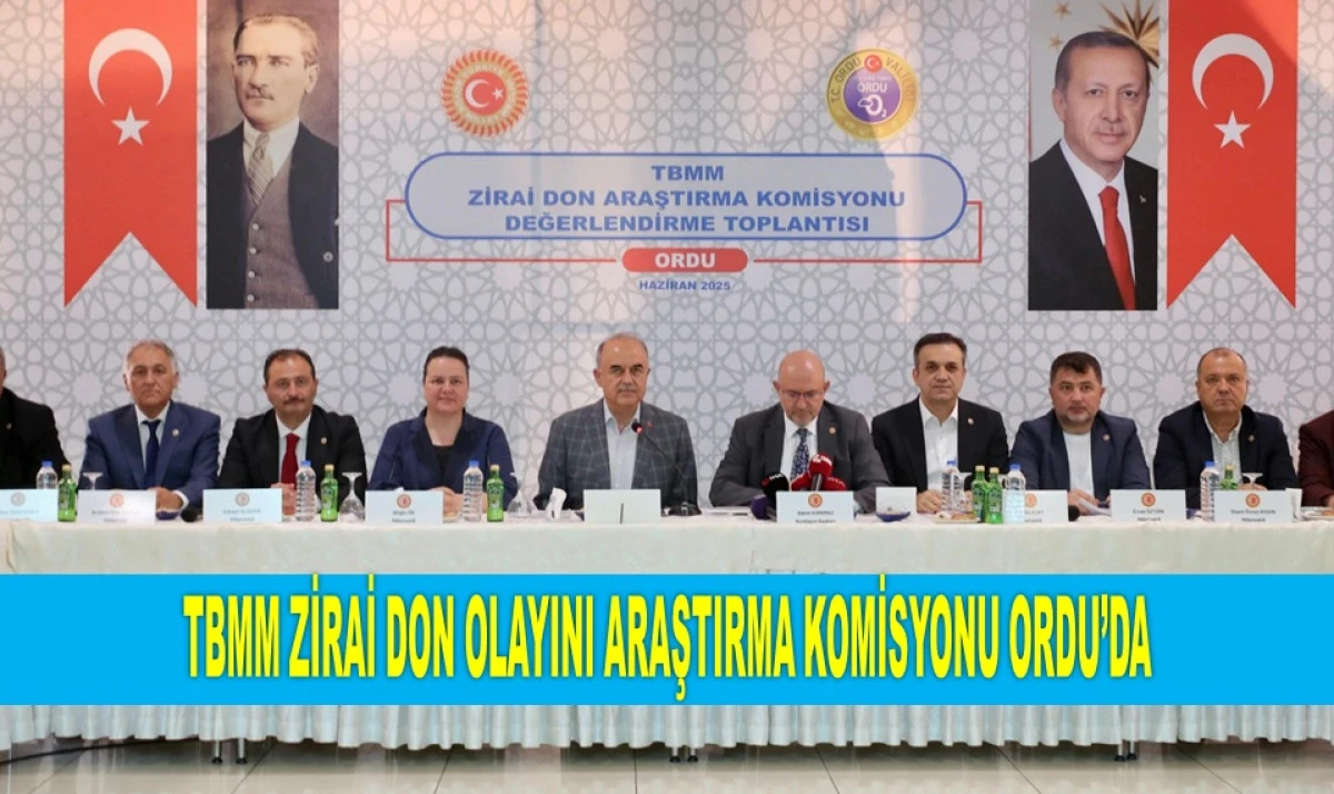 ORDU'DA 150 METREDEN YUKARI ZİRAİ DON ETKİLİ OLDU