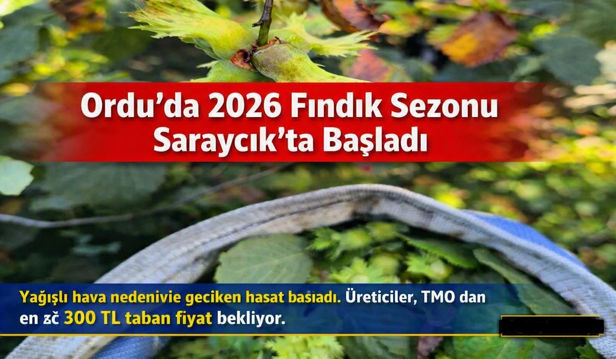Ordu&rsquo;da 2026 Fındık Sezonu Saraycık&rsquo;ta Başladı