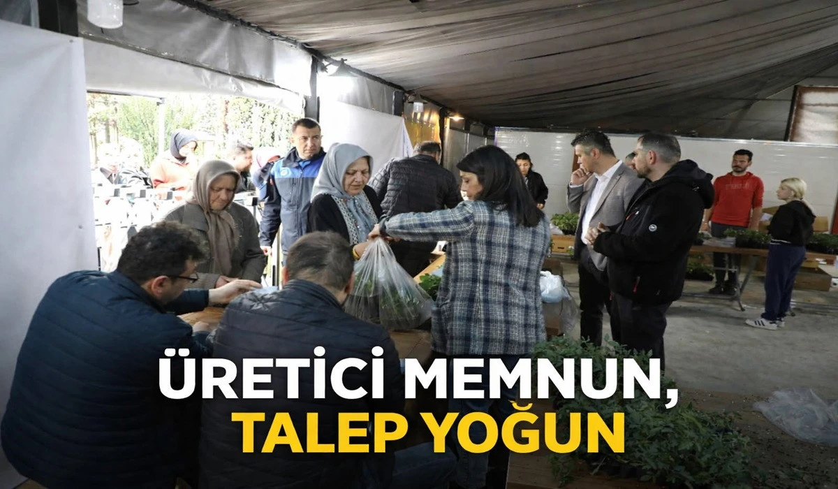 Ordu&rsquo;da 300 Bin Yazlık Fide Dağıtımı Başladı