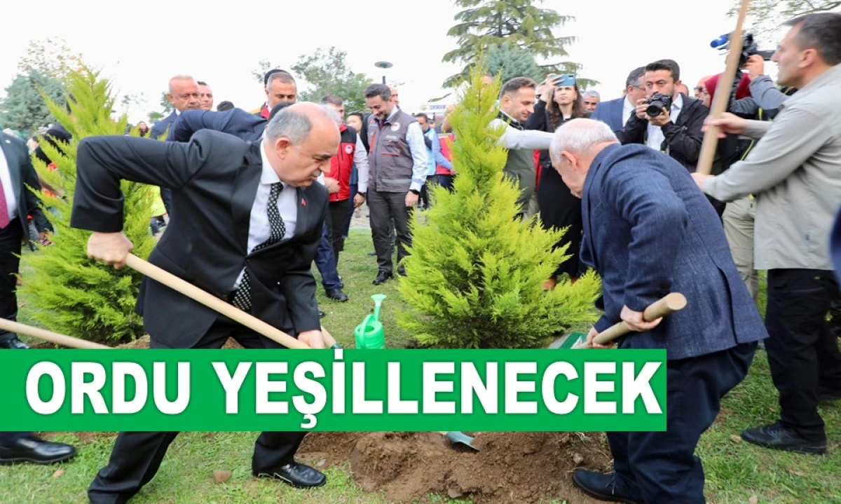 ORDU'DA 350 BİN AĞAÇ TOPRAKLA BULUŞTURULUYOR