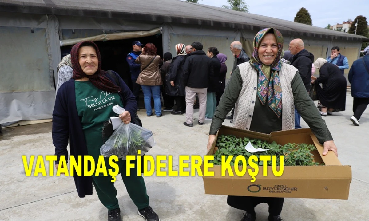 ORDU'DA 380 BİN YAZLIK FİDE DAĞITIMINA BAŞLADI 