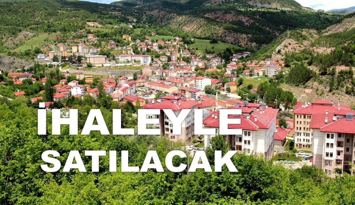 ORDU'DA 5 HAZİNE ARAZİSİ SATIŞA ÇIKARILDI!