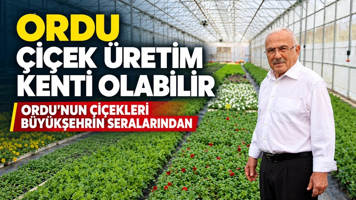 Ordu&rsquo;da 550 Bin Kışlık &Ccedil;i&ccedil;ek Toprakla Buluşuyor
